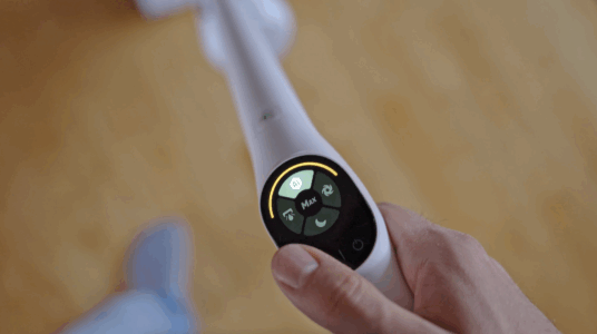 Rowenta X-Clean 10