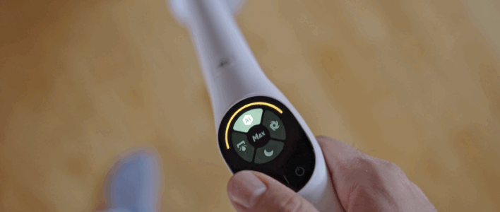 Rowenta X-Clean 10